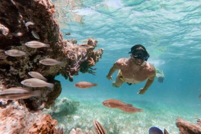 Marinarium Snorkeling Cruise from Punta Cana - The Marinarium animal exhibit: fun, but set your expectations