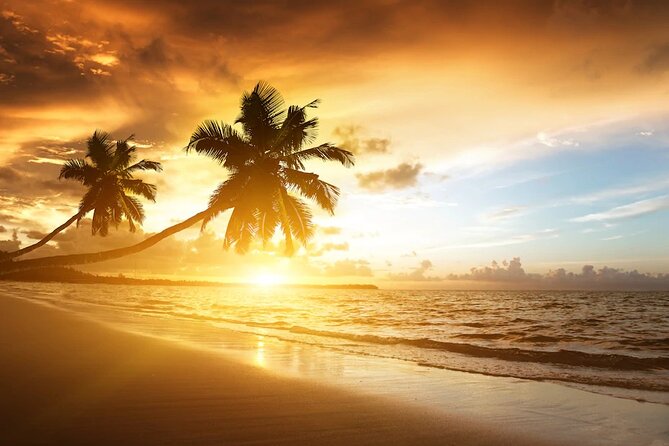 Meliá Caribe Beach - Round Trip Shuttle - Punta Cana Airport - Round-Trip Service Means You Don’t Have to Re-Plan on Vacation