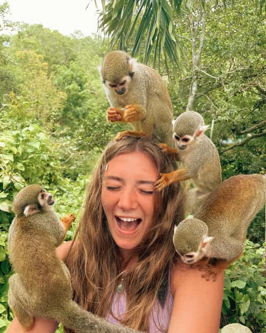 Monkey Encounter + ATV Riding Adventure – Puerto Plata - Monkeyland Squirrel Monkeys: What the shoulder-to-shoulder encounter feels like