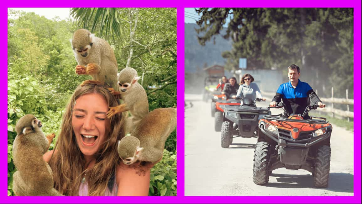 Monkey Encounter + ATV Riding Adventure – Puerto Plata - Dominican Coffee and Cacao Stop: Learn local flavors, then taste them