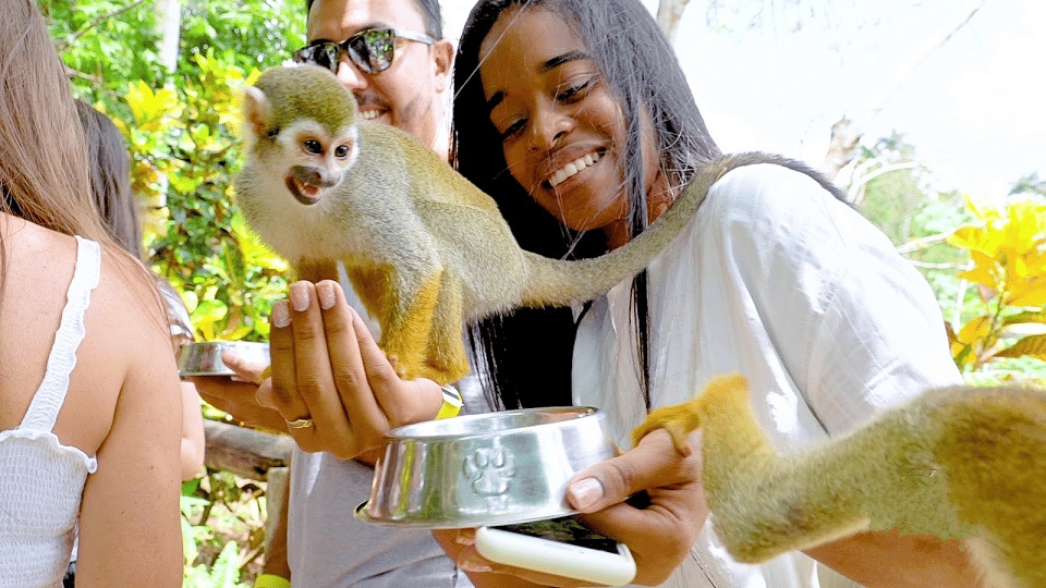 Monkey Encounter + ATV Riding Adventure – Puerto Plata - Quick Tips So the Day Goes Smooth