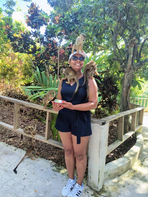 Monkey Encounter + ATV Riding Adventure – Puerto Plata - FAQ
