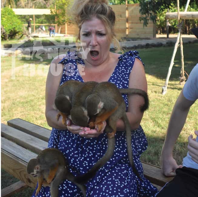 Monkey House VIP – An exclusive experience in Punta Cana - Key highlights worth your attention
