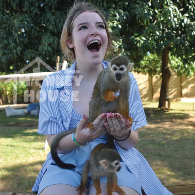 Monkey House VIP – An exclusive experience in Punta Cana - Monkey House VIP: what it feels like, not just what it includes