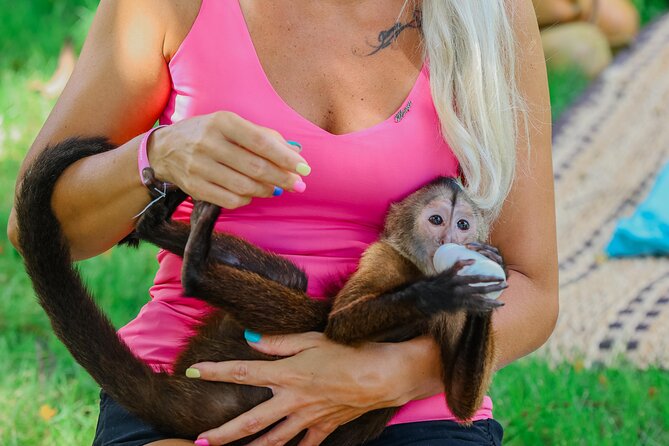 Monkey House VIP Experience with 4 species of monkeys, Punta Cana - Monkey House VIP: What makes it different in Punta Cana