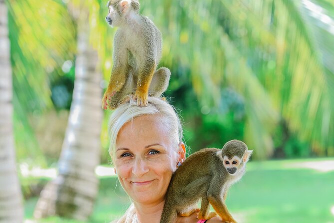 Monkey House VIP Experience with 4 species of monkeys, Punta Cana - Value check: Does the VIP format justify $76?