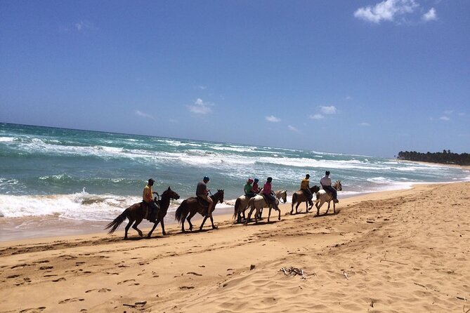Montaña Redonda & Horseback Riding 2-in-1 Tour from Punta Cana - Playa Limon horseback ride: ocean breeze, quieter pace, and 50 minutes of motion