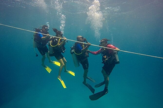 Open Water Diver - Bávaro - Key takeaways before you go