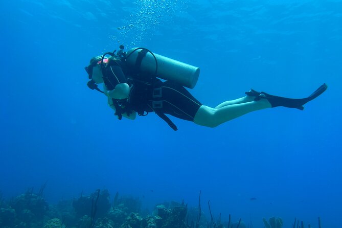 Open Water Diver - Bávaro - In-the-Sea Sessions: The 18-Meter Goal Gets Real