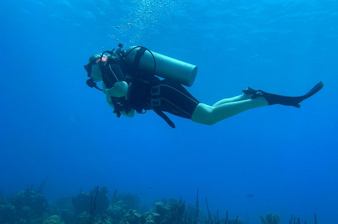 Open Water Diver - Bávaro - Price and Value: Is $460 Fair for What You Get?