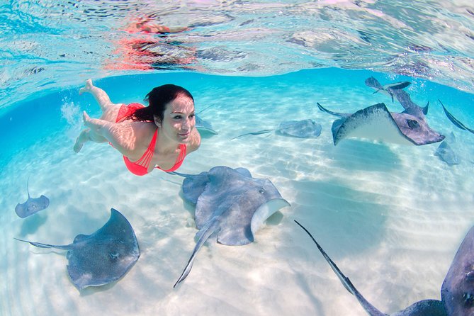 Parasailing, Snorkel Cruise & Virgen Beach from Punta Cana - Price and Value at $159: When It Feels Worth It