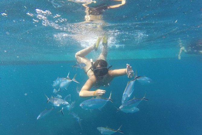 Party boat in Catamaran with Open Bar Only Adults + Snorkeling - Drinks, nachos, and the music: the party side of Punta Cana