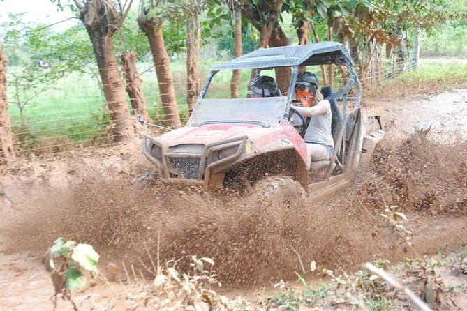Platinum Buggy Adventure - The appeal of a Platinum Buggy Adventure in Punta Cana
