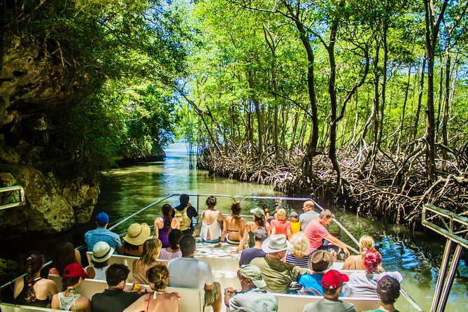 PRIVATE: 3in1 - Los Haitises N.P. + Y. Waterfall + Mount. Redonda - Key Highlights You’ll Actually Feel