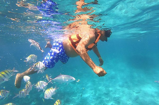 Private Activity Speedboat Ride and Snorkeling in Punta Cana - Weather Rules and the Customer Support Reality Check