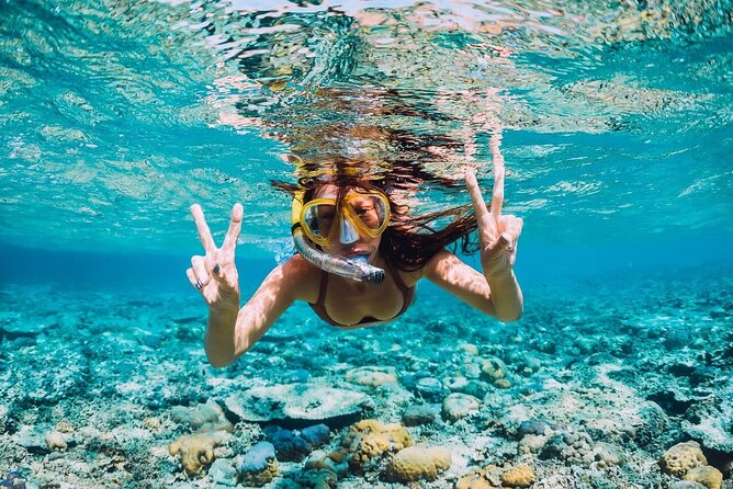 Private Activity Speedboat Ride and Snorkeling in Punta Cana - Snorkeling Setup: Gear Included, Plus a Safety Buffer