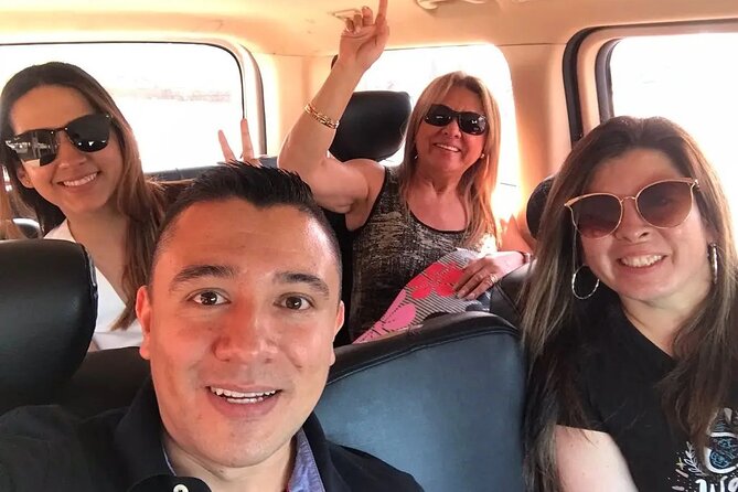Private Airport Transfers - Punta Cana - Best Fit: Who Should Book This Transfer