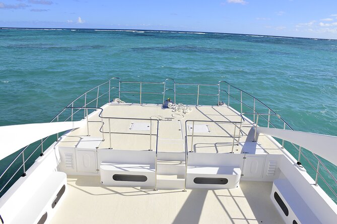 Private, All Inclusive, Double-Decker Catamaran in Punta Cana - Reef snorkeling stop: your first look at Dominican marine life