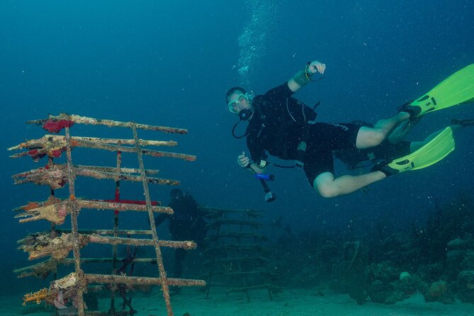Private Bayahibe 3 Tank Diving with Lunch from Punta Cana - Gear, guides, and languages: what’s truly included for a smoother day