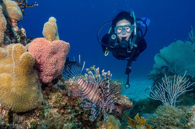 Private Bayahibe 3 Tank Diving with Lunch from Punta Cana - Price and value for $1,300 per group (up to 6)