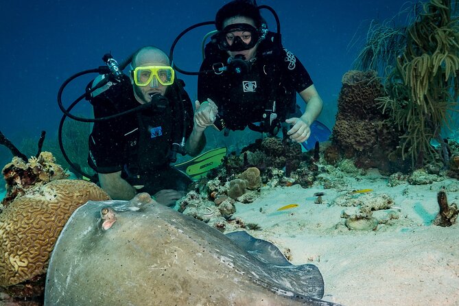 Private Bayahibe 3 Tank Diving with Lunch from Punta Cana - Who should book this 3-tank Bayahibe outing (and who should reconsider)