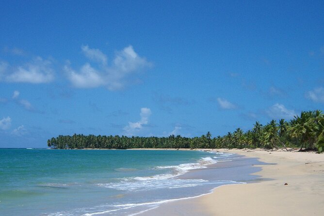 Private Boat Nature Tour of Limón Beach and Lagoon - Key things to know before you go