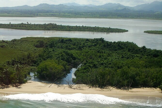 Private Boat Nature Tour of Limón Beach and Lagoon - Stop 2: Playa Limon near Miches, a wide palm-lined coast