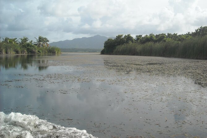 Private Boat Nature Tour of Limón Beach and Lagoon - El Cedro lunch: local women, fresh fruit, and coffee in the Oriental Mountains