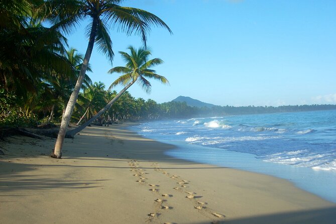 Private Boat Nature Tour of Limón Beach and Lagoon - Who should book this private Limón tour (and who might not)