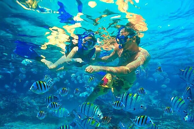 Private Catamaran Party with Snorkeling and Unlimited Drink - What to know before you go: practical details that matter