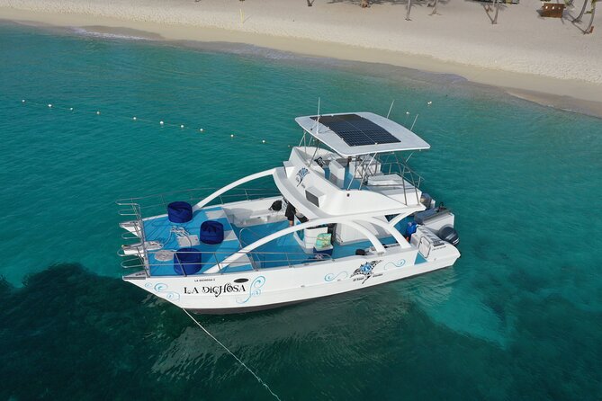Private Full Day Charter to Saona Island from Punta Cana - Key points worth knowing before you go