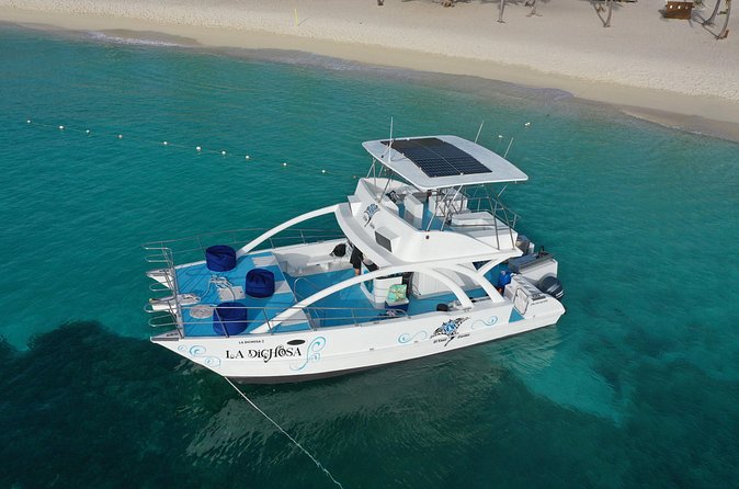 Private Full Day Charter to Saona Island from Punta Cana - Peñon Reef: stingrays, turtles, and the best wildlife stop