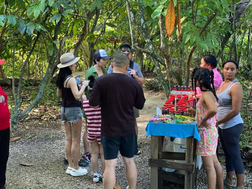 Private Half Day Tour in Punta Cana-Higüey with Local Guide - A 4-hour private culture tour from Punta Cana to Higüey