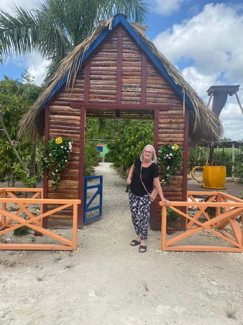 Private Half Day Tour in Punta Cana-Higüey with Local Guide - World Mart souvenir stop: quick browsing, not the whole day