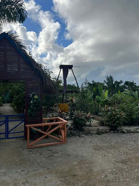 Private Half Day Tour in Punta Cana-Higüey with Local Guide - Casa típica: coffee, cocoa, and vanilla with real taste and stories