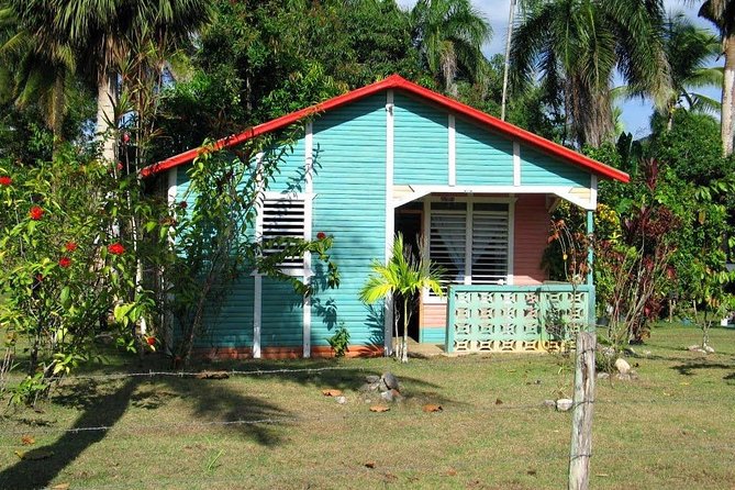 Private Higuey City Tour Real Life in Punta Cana (Half Day) - Local Market Time for Souvenirs: Browse Smart, Don’t Rush
