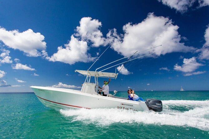 Private Isla Saona Boat Tour – Snorkeling Premium Drinks & Buffet - Value check: $1,295 per group and when it makes sense