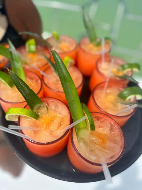 Private Party Boat Tour with Drinks and Snacks in Punta Cana - Key Things to Know Before You Go