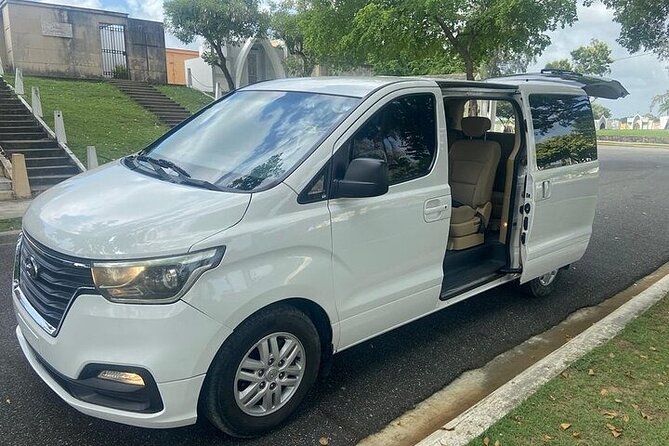 Private Punta Cana Airport Ground Transfers - Price and value: $14 per person for private airport peace of mind