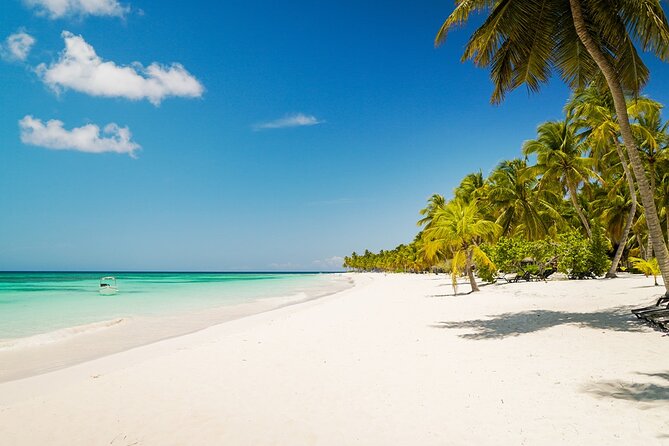 Private Saona Island Excursion - Key things to know before you go