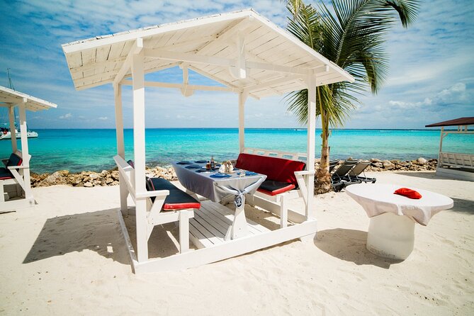 Private Saona Island Excursion - Snorkeling: optional, and the conditions decide the payoff