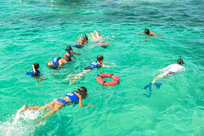Private Snorkeling in Punta Cana - The Onboard Photographer: Great Memories, Extra Cost