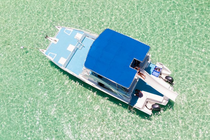 Private Snorkeling in Punta Cana - Main Reef Snorkeling: Quick Prep, Real Sea Time