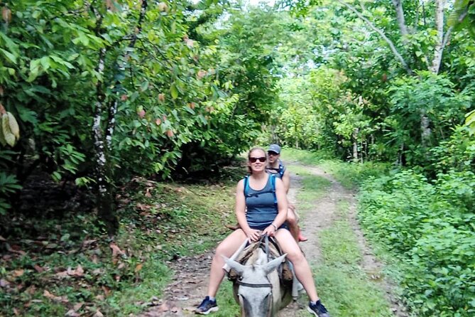 Private Tour in Miches with La Jarda Waterfall Experience - Miches on Purpose: Why This Day Trip Feels Like a Real Shift