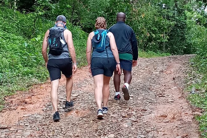 Private Tour in Miches with La Jarda Waterfall Experience - Coffee and Cacao Forest Walks: Shade, Smell, and a Slower Pace