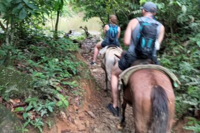 Private Tour in Miches with La Jarda Waterfall Experience - Salto de La Jalda: 400-Foot Waterfall, Horse vs. Hike, and Real-World Trail Conditions