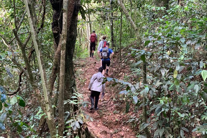 Private Tour in Miches with La Jarda Waterfall Experience - Montana Redonda: The 1,000-Foot Viewpoint That Makes the Day Feel Bigger