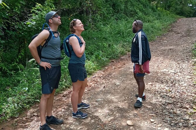 Private Tour in Miches with La Jarda Waterfall Experience - Breakfast and Lunch: Food That Keeps You Going (and Matches the Local Rhythm)