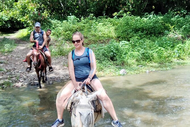 Private Tour in Miches with La Jarda Waterfall Experience - Price and Value: What $180 Buys You for a Full Private Day