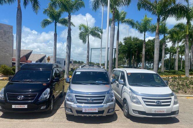 Private Transfer Between Punta Cana and Bavaro - Who Should Book This Transfer (and Who Might Want Something Else)